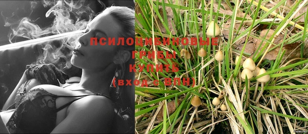 гашиш Медногорск