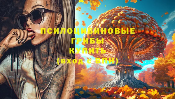 метадон Мегион