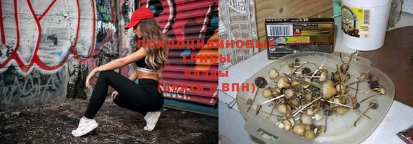 марки lsd Михайловка
