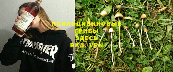 гидропоника Медвежьегорск