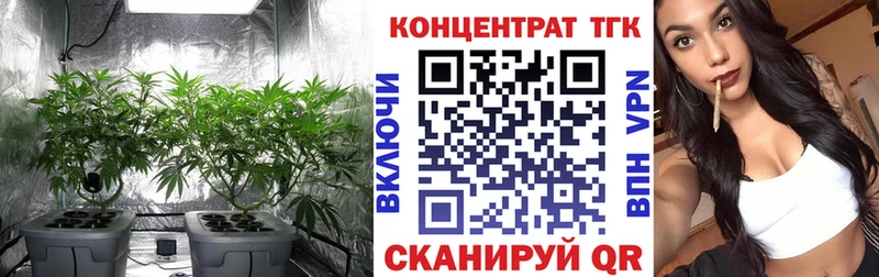 ТГК Wax  сколько стоит  Павлово 