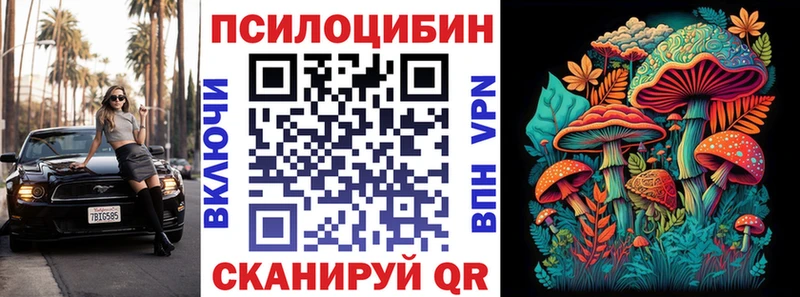 маркетплейс наркотические препараты  Павлово  Псилоцибиновые грибы Magic Shrooms  hydra  